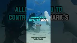 STOP Doing This in a Shark Attack or Youll Regret It [upl. by Clayborn980]