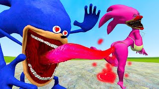 Shin Sonic Tapes EXPERT Shares Top Family Battle Techniques in Garrys Mod [upl. by Sami]