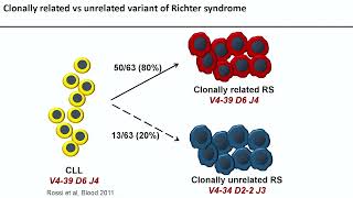 How to manage relapsed CLL and Richter’s transformation – Dr Davide Rossi September 1516 2023 [upl. by Auhsuoj686]