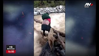 Perrito cae al río al intentar cruzar sobre troncos como lo hacía su dueña [upl. by Nnaid131]