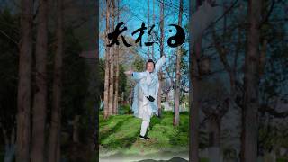 Wudang Tai Chi boxing demonstrationtaichi chineseculture taichichuan kongfu healthylifestyle [upl. by Reisfield615]