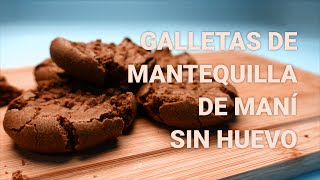 Galletas de Mantequilla de Maní y chocolate  Sin huevo  Receta fácil y rápida [upl. by Ardnal]