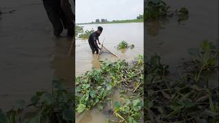 Unbelievable Catching in River Fishing Video shorts fishinglife [upl. by Hairym53]