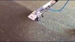 Rotovac Bonzer Amazing restaurant carpet cleaning results Video 2 [upl. by Erdnaed]