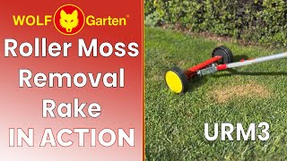 Wolf Moss Removal Rake URM3 [upl. by Pollitt404]