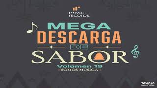 Los Sepultureros Mix DJ David 🎄 Mega Descarga De Sabor Vol19  Impac Records [upl. by Tita114]