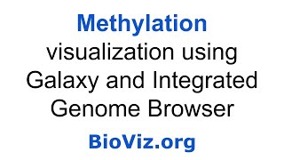 Visualization of whole genome DNA methylation [upl. by Novihc224]