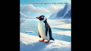 Penguin facts [upl. by Esemaj]