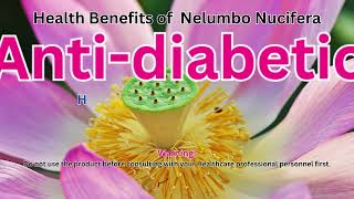 Health Benefits of Nelumbo Nucifera [upl. by Nostaw]