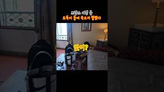 Ep4 숙소가 털렸다… 😂  프랑스 여행 도둑 남프랑스 한달살기 자매여행 아이패드 에어팟맥스 오즈모포켓3유럽여행 [upl. by Eenhpad982]