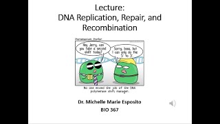 BIO 367 Biochemistry DNA Replication DNA Repair and DNA Recombination science lessons [upl. by Cullen367]