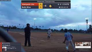 Stampede 13u  Boltz Blue 20241103 [upl. by Beitz]