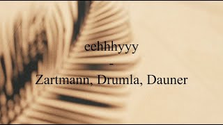 eehhhyyy  Zartmann Drumla Dauner Unofficial lyricvideo [upl. by Dnalor]