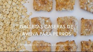 Galletas de avena para perros [upl. by Gorlin]