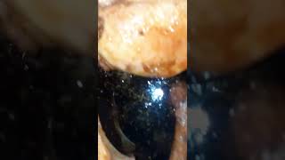 Chaken fry viril shoth video food [upl. by Erastes]