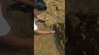 May isda hindi mailap fishing [upl. by Doraj]