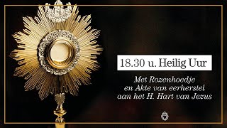 FSSPX Antwerpen  0611 H Uur met Rozenhoedje [upl. by Tutto]