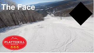 Skiing The Face at Plattekill Mountain Mar 4th 2023 [upl. by Koeninger179]