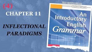 Grammar  Second Stage  Chapter 11  Inflectional Paradigms  Part 4 [upl. by Hnacogn817]