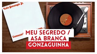 Gonzaguinha  Meu Segredo  Asa Branca Lyric [upl. by Rehteh662]