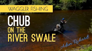 Chub Waggler Fishing on the River Swale  River Fishing [upl. by Knuth]