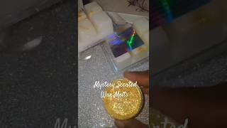 Mystery Scented Wax Melts shortsyoutube waxmelts [upl. by Nylevol]