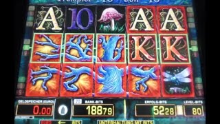 MEGA FETTE Action im Casino Zocken amp Gewinnen am Spielautomat Risikospiel amp Freispielgewinne [upl. by Eob]