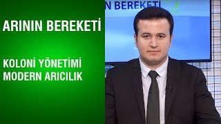 Arının Bereketi  Koloni Yönetimi ve Modern Arıcılık [upl. by Berkly]