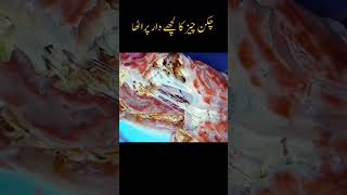 Lacha Paratha Recipeparatha recipechickencheese paratharecipeparathacheesechickenfeedshorts [upl. by Paderna]