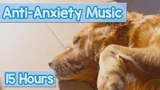 Calming Music for Puppies with Anxiety Soothing Lullabies for Anxious and Stressed Dogs Tested [upl. by Bove]