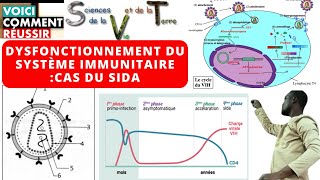 VIHSIDADysfonctionnement du système immunitaireinfection des Lymphocytes T4 [upl. by Raclima]