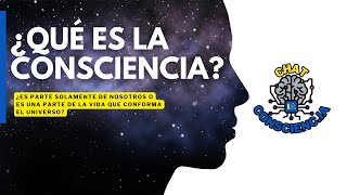 ¿Qué es la CONSCIENCIA ¿Es solo una parte de nuestra MENTE o es parte de la vida en el UNIVERSO [upl. by Hazmah400]