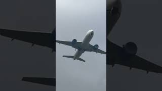 IRL Plane Spotting Part 232 UAL  919 lhr planespotting planespottingheathrow [upl. by Nnylamme]