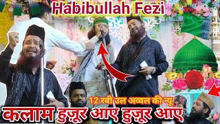 Habibullah Faizi Ki New Naat  12 Rabi Ul Awal 2024 आमदे सरकार पर न्यू नात  Huzoor Aye Huzoor Aye [upl. by Lindi]