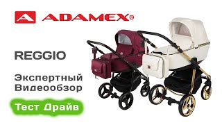 Adamex REGGIO Special Edition коляска 2 в 1 выбираем с экспертом на Тест Драйве [upl. by Vikky]