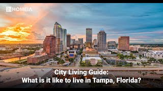 12 Key Factors to Know About Living in Tampa Florida [upl. by Lebatsirhc]