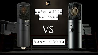 Warm Audio WA8000 VS Sony C800G  MICROPHONE SHOOT OUT [upl. by Sairu650]