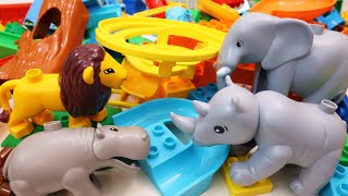 Satisfying Building Blocks Marble Run Race ASMR The Lion King animals course [upl. by Teragram]