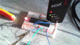 Antiphase PWM code running on a dsPIC30F4011 microcontroller blinking LED on RD0 [upl. by Scharf]