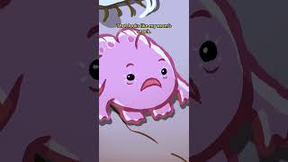 Giant Frogfish 🐸🐟 animation original cartoon [upl. by Ailam]