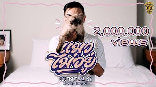 “แมวไม่อยู่”  JoeyBoy ft BZ Prod by Botcash Official MV [upl. by Animsay73]