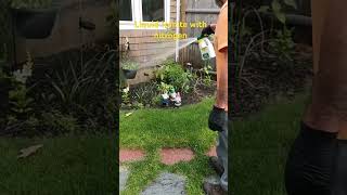 Liquid Ironite with fertilizer Quick and guarantee results mindblown greenlawn diylawncare [upl. by Wyck609]