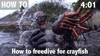 How to Freedive for Crayfish [upl. by Gader747]