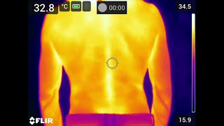 Thermal radiation and the infrared radiation of the human body English subtitles available [upl. by Mccready]