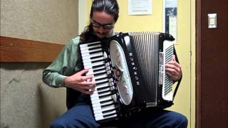 Title Theme The Legend of Zelda Ocarina of Time accordion cover [upl. by Letta]