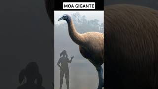 Los Moas Gigantes y su Trágico Final Las Inmensas Aves de Nueva Zelanda que se Extinguieron [upl. by Hiroshi]