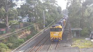 8229 8141 8149 3926 through Heathcote 17 November 2024 [upl. by Chance]