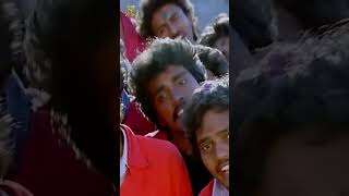 Dandalayya Undralayya Song  Coolie No 1 Telugu Movie  Venkatesh  Tabu  Shorts  ytshorts [upl. by Ennovahc]