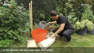 Jardinage 3  Je fais pousser des pleurotes dans mon jardin [upl. by Akimihs]