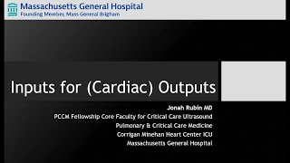 Critical Care Ultrasound Series Part 3 Inputs for Cardiac Outputs LVOT VTI method [upl. by Ainig616]